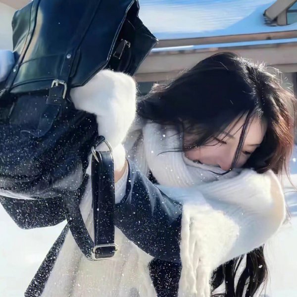 认识狗狗